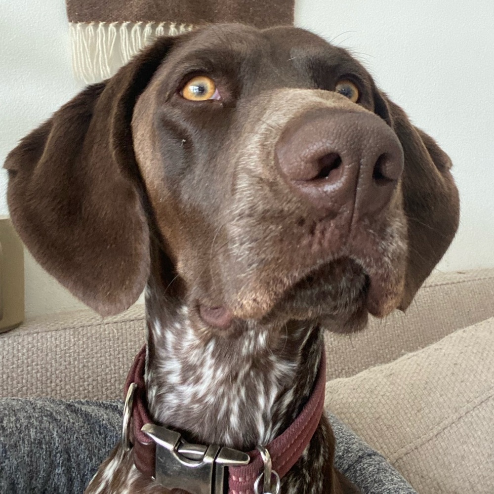 Meet your Posher, J & J